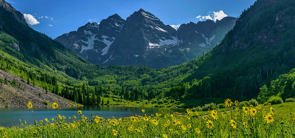 Aspen Summer